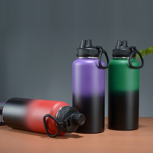 Vacuum Insulated Cup Gradient
