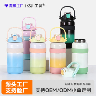 Water Bottle with Handle